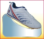LCS01