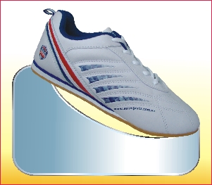LCS01
