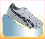 LCS03