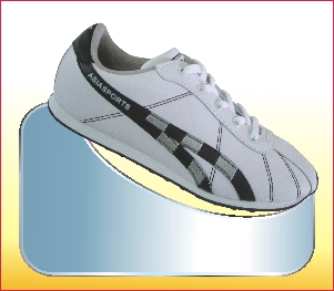 LCS03
