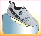 LCS04