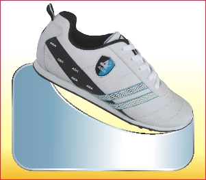 LCS04