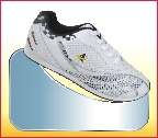 LCS05