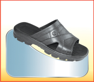 DME245